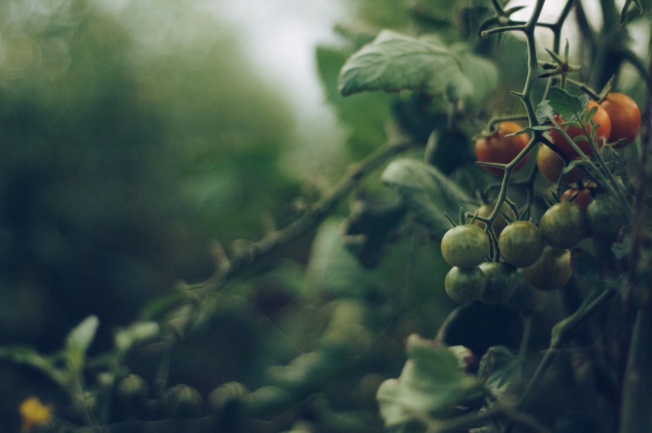 L'agriculture raisonnée dans notre société